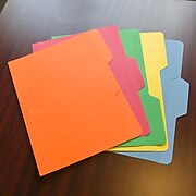 Find It® Letter 1/3 Cut All Tab Interior File Folder, Assorted, 80/Pack