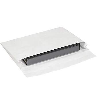 Partners Brand Tyvek Expandable Envelopes, 10" x 15" x 2", White, 100/Case (TYE10152WS)
