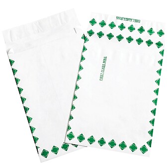 Partners Brand Tyvek Expandable Envelopes, 12" x 16" x 2", First Class, White/Green, 100/Case (TYE12162FC)