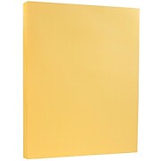 JAM Paper Vellum Bristol 110 lb. Cardstock Paper, 8.5" x 11", Light Orange, 50 Sheets/Pack (169854)