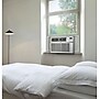 LG 115-Volt Window Air Conditioner with Remote, White (LW8016ER)~#|#~m004279109_sc7