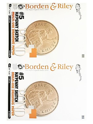 UPC 736282052450 product image for Borden  And  Riley Ha'Penny Sketch Pad 24 In. X 36 In. 50 Sheets (005P243650),Si | upcitemdb.com