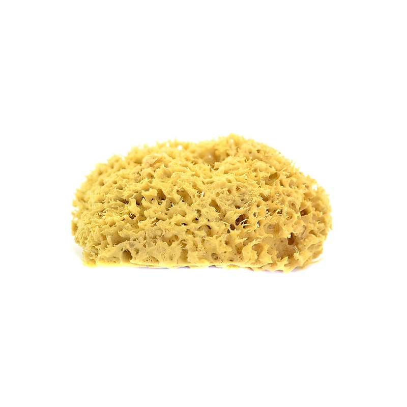 Royal  And  Langnickel Natural Sponges Wool Sponge 6 1/2 In. X 7 In. [Pack Of 2] (2PK-R2021) image 1