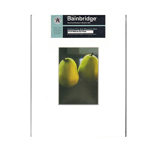 Shop Staples for Bainbridge Archival Museum Quality Mat 11 In. X 14 In