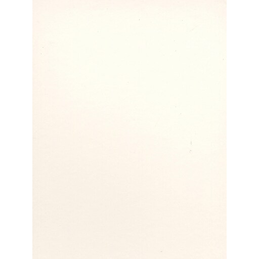 Canson Bristol Smooth Art Board 16 In. X 20 In. [Pack Of 5] (5PK