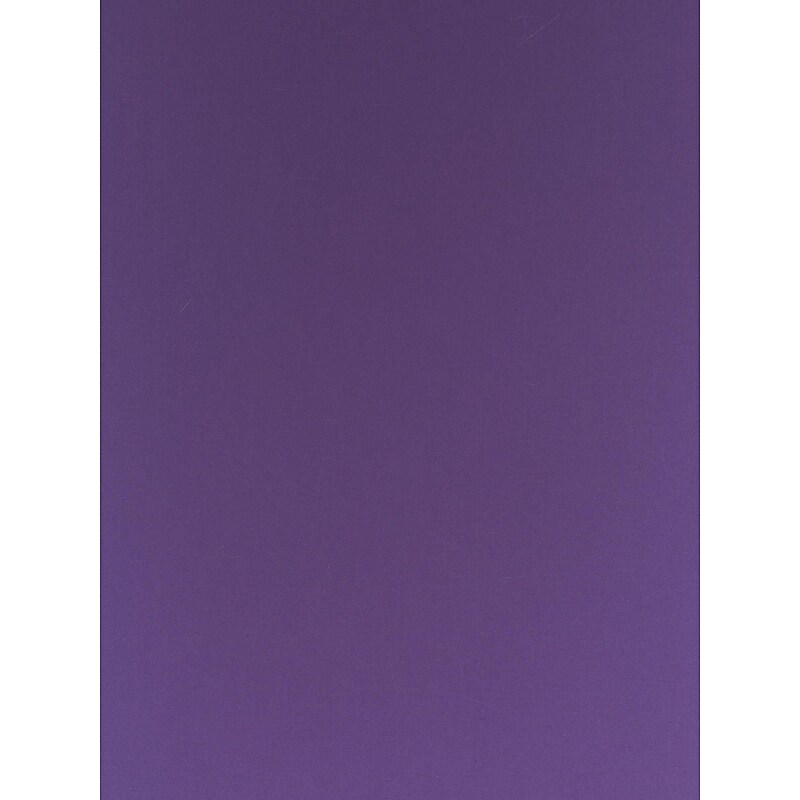 Canson Colorline Heavyweight Paper Sheets, Violet, 300 Gsm, 19 In. x 25 In., Pack Of 10 (10PK-200041432) image 1