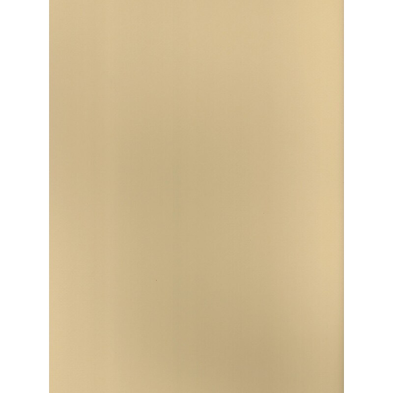 Canson Mi-Teintes Cream Mat Board, 16" x 20", 5/Pack (61048-PK5) image 1