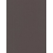 Canson Mi-Teintes Mat Board Dark Gray 16 In. X 20 In. [Pack Of 5] (5PK-100510125)