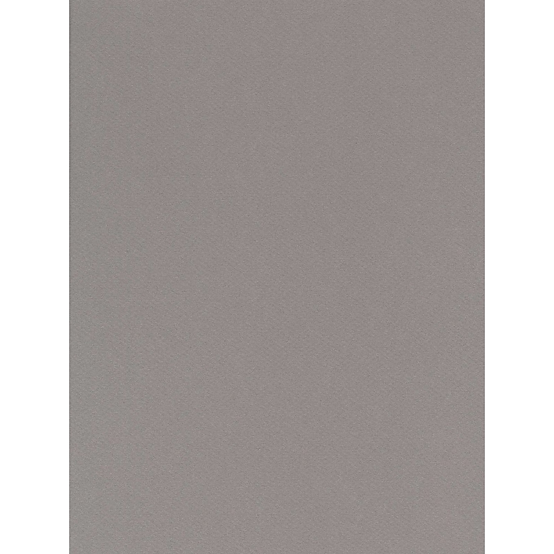Canson Mi-Teintes Flannel Gray Mat Board, 16" x 20", 5/Pack (14382-PK5) image 1