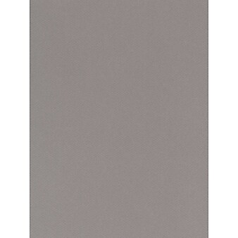 Canson Mi-Teintes Mat Board Flannel Gray 16 In. X 20 In. [Pack Of 5] (5PK-100510137)