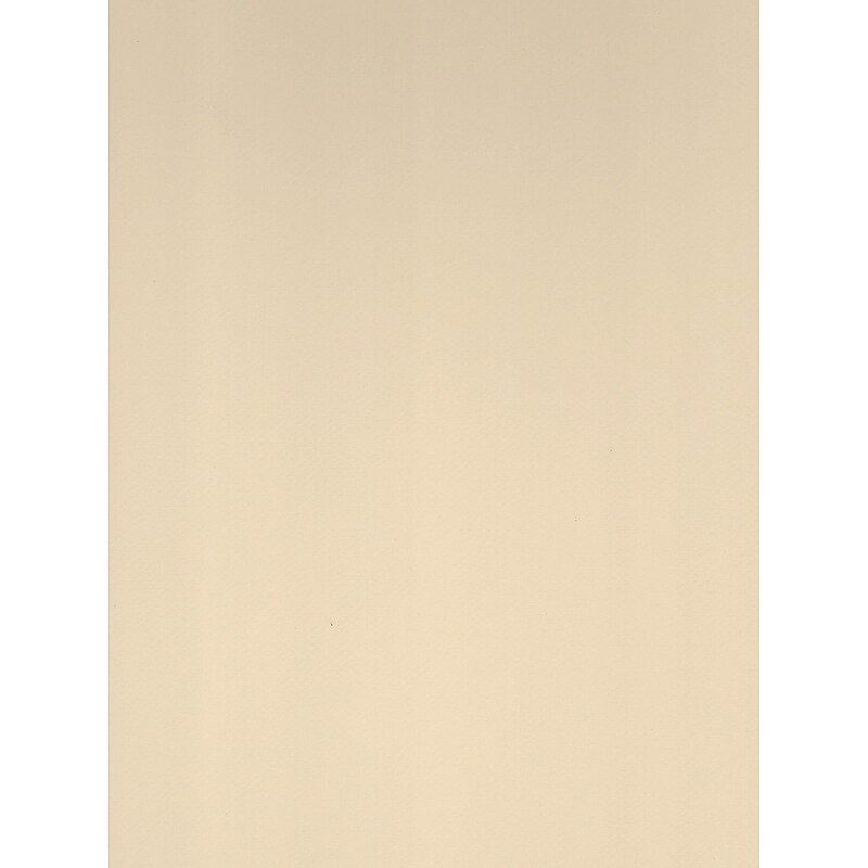 Canson Mi-Teintes Ivory Mat Board, 16" x 20", 5/Pack (75207-PK5) image 1