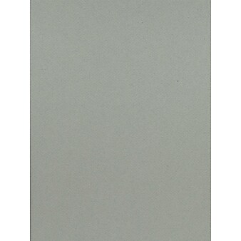 Canson Mi-Teintes Mat Board Sky Blue 16 In. X 20 In. [Pack Of 5] (5PK-100510141)