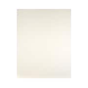 Strathmore Museum Mounting Board Acid Free White 4 Ply Each (134-114)