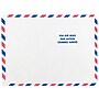 JAM Paper Tear-Proof Tyvek Open End Catalog Envelopes, 9" x 12", White Airmail, 10/Pack (2131102A)~#|#~m004542918_sc7
