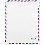 JAM Paper Tear-Proof Tyvek Open End Catalog Envelopes, 9" x 12", White Airmail, 10/Pack (2131102A)~#|#~m004542919_sc7