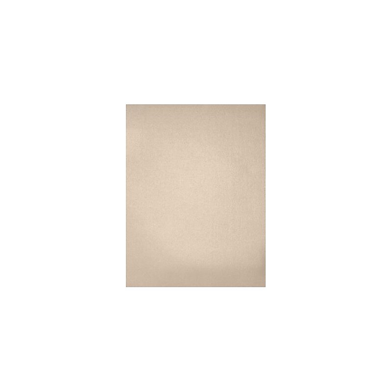 LUX 12 x 18 Paper (12 x 18) - Taupe Metallic - Pack of 250 (2445141) image 1
