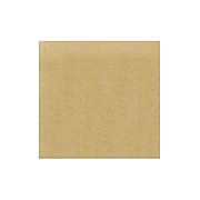 LUX 12 x 12 Cardstock (12 x 12)  - Gold Sparkle - Pack of 50 (2445085)