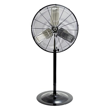Pedestal Fans