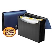 Smead Expanding File with Flap & Elastic Cord Closure, Letter Size, 12 Pockets, Blue/Black (70863)