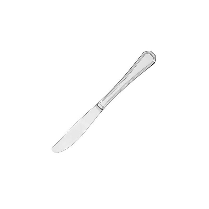 Walco Stainless Pacific Rim Dinner Knife, Stainless Steel (PAC45) image 1