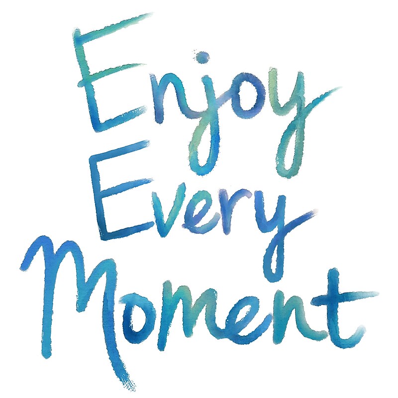 WallPops Enjoy Every Moment Wall Quote 17.25 x 19.5 Blue (WPQ2134) image 1