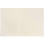 JAM Paper 2-Pocket Textured Linen Business Folders, Ivory, 25/Pack (386LIVA)~#|#~m005206659_sc7