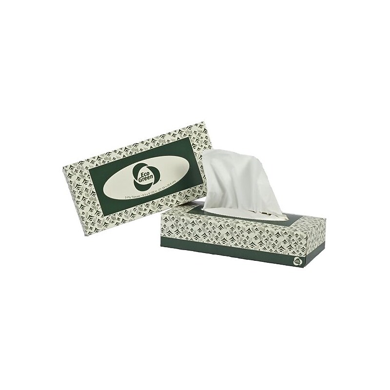 Eco Green Facial Tissue, 2-ply, 150 Tissues/Box, 20 Boxes/Pack (EF150) image 1