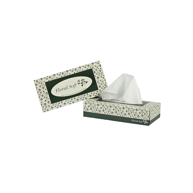 Floral Soft Facial Tissue, 2-ply, 100 Tissues/Box, 30 Boxes/Pack (F100) image 1