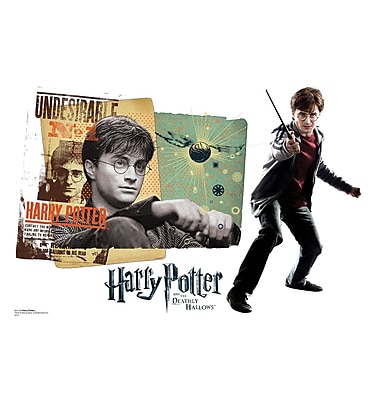 Advanced Graphics Harry Potter 7 Harry Potter Wall Decal