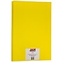 JAM Paper Matte Colored 11" x 17" Paper, 24 lbs., Yellow, 100 Sheets/Pack (16728463)~#|#~m006045854_sc7