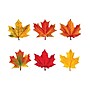 Trend® Mini Accents® Variety Packs, Maple Leaves Discovery~#|#~m006153421_sc7