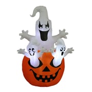 The Holiday Aisle Halloween Inflatable Pumpkin w/ Ghost