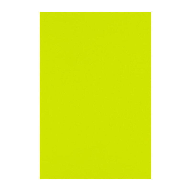LUX 105 lb. Cardstock Paper, 12" x 18", Wasabi Green, 250 Sheets/Pack (1218-C-L22-250) image 1