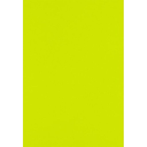 Lux Paper 13 x 19 inch Wasabi 500/Pack Staples