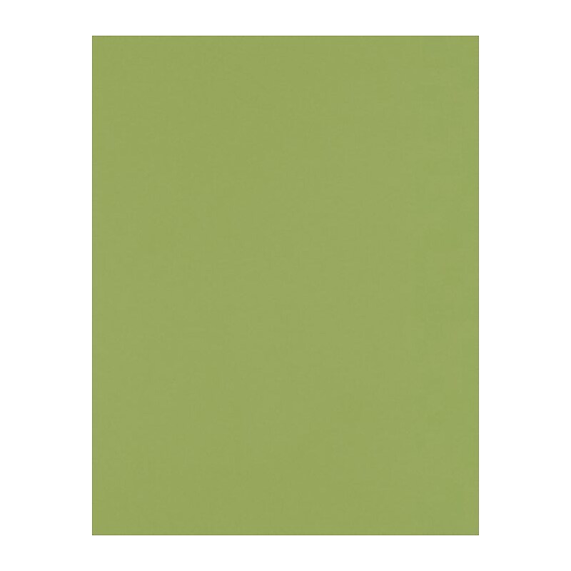 LUX 8.5" x 11" Color Copy Paper, 28lb, Avocado, 500 Sheets/Pack (81211-P-102-500) image 1