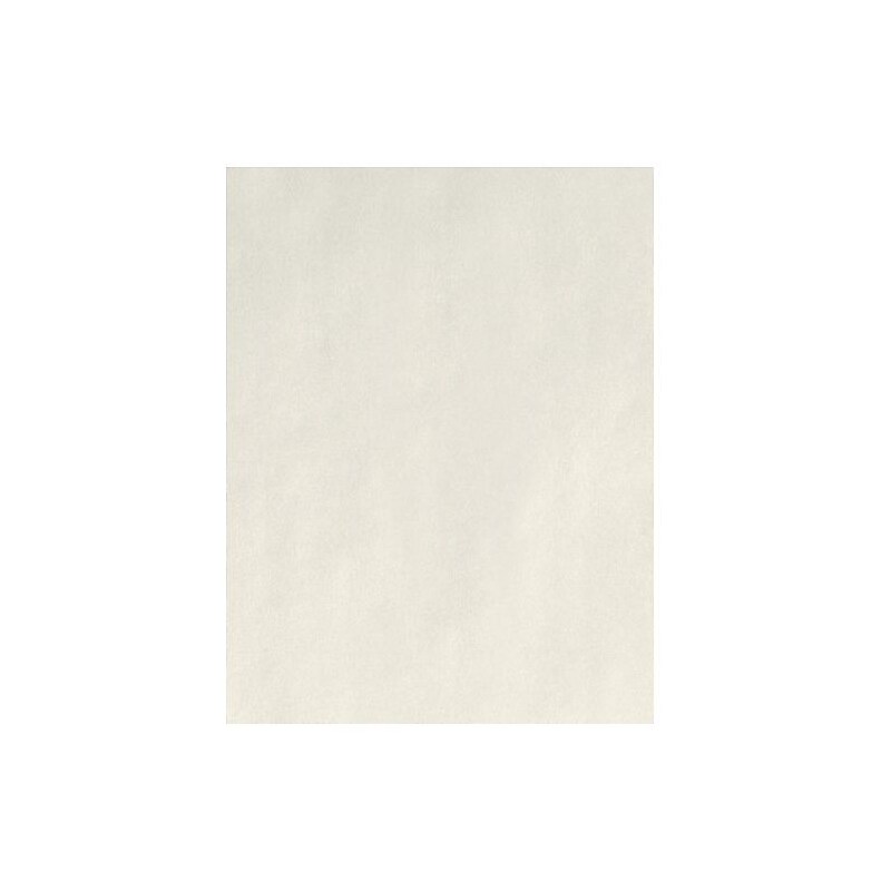 LUX Assorted lb. Cardstock Paper, 8" x 11", Natural White, 500 Sheets/Pack (81211-C-SN-500) image 1