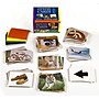 Stages Learning Materials Multi-Pack Flash Cards, 350/Pack (SLM001)~#|#~m006577407_sc7