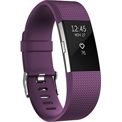 Fitbit Charge 2 Smart Band (FB407SPMS)