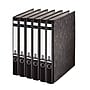 Leitz A4 Binders 1" 2-Ring A4 Binders, D-Ring, Black, 6/Pack (R25PACK)~#|#~m006858850_sc7