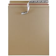 JAM Paper® Stay-Flat Photo Mailer Envelopes, 12.75 x 15, Brown Kraft, Self-Adhesive Closure, 6 Rigid Mailers/Pack (8866645B)
