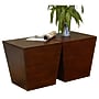Winsome Mesa 18.5"W x 18.5"D Wooden Storage Cube or End Table, Brown (94418)~#|#~m006963552_sc7