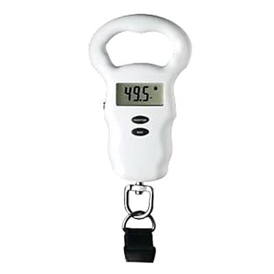 travel smart conair weight