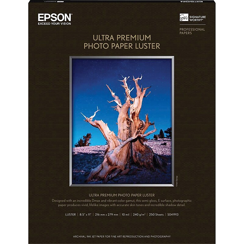 Epson Premium Luster Photo Paper, 8.5" x 11", 250 Sheets/Pack (S041913) image 1