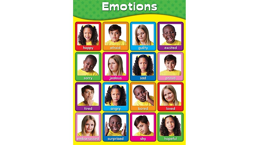 Emotions Chart