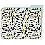 Carson-Dellosa Aim High File Folders, 6 Pack (CD-136018)~#|#~m007109640_sc7
