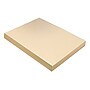 Pacon Tagboard, 9" x 12", Manila, 100/Pack (PAC5111)~#|#~m007111862_sc7