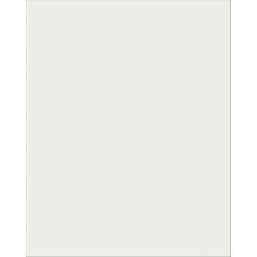 Plastic Poster Board 22X28 Clear, 25SH (PACMMK04714) at
