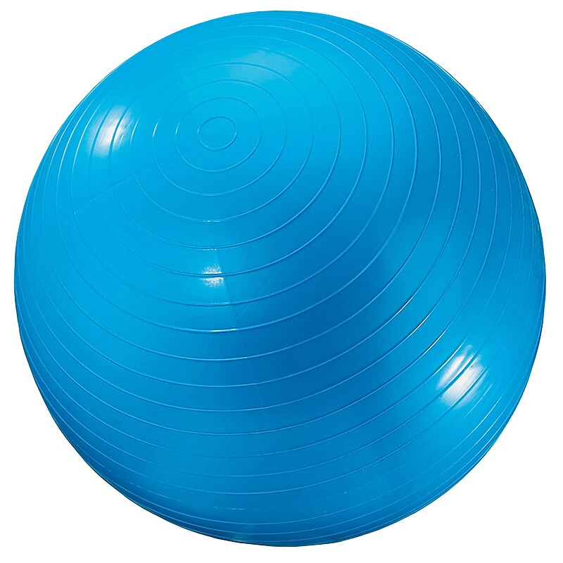 Dick Martin Sports 24" Exercise Ball, Blue (MASGYM24) image 1