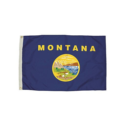Shop Staples For Flagzone Montana Flag With Heading And Grommets