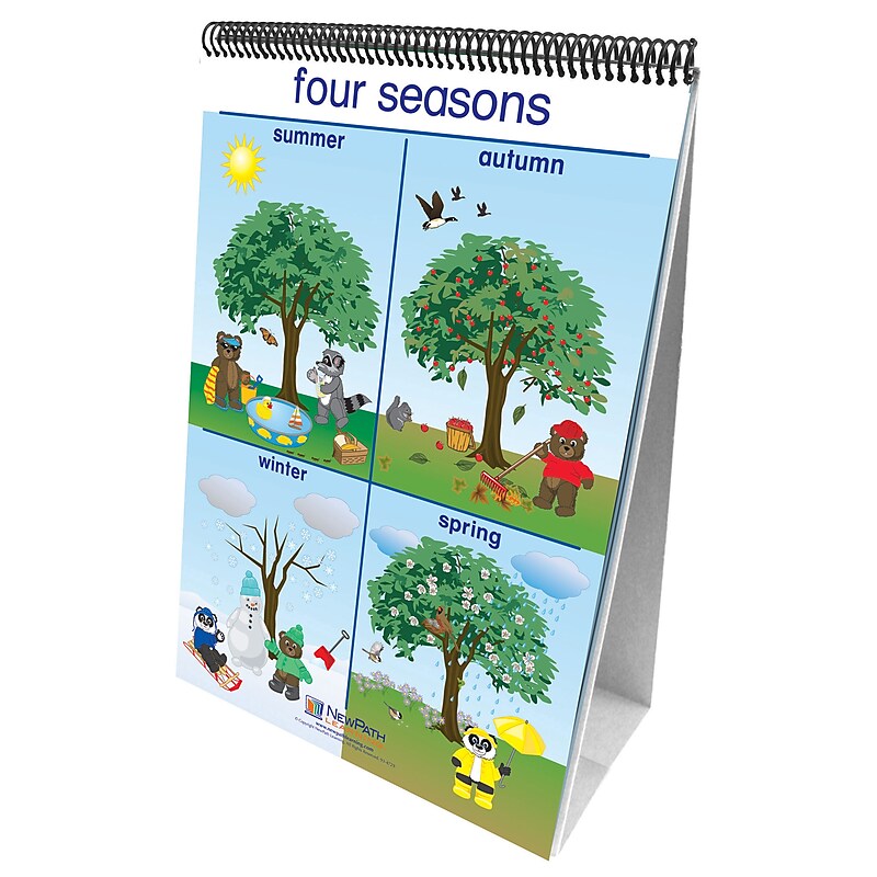 New Path Learning® Weather & Sky Curriculum Mastery® Flip Chart Set image 1